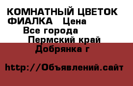 КОМНАТНЫЙ ЦВЕТОК -ФИАЛКА › Цена ­ 1 500 - Все города  »    . Пермский край,Добрянка г.